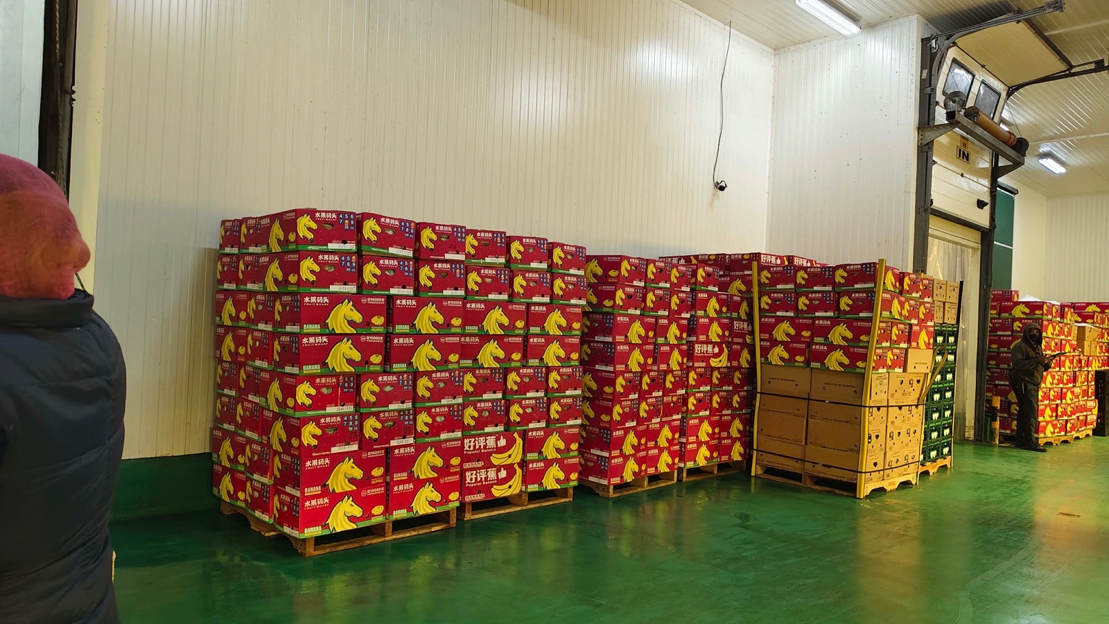 Pallets of packed export cartons stacked inside the cold storage room, beside the insulated loading door