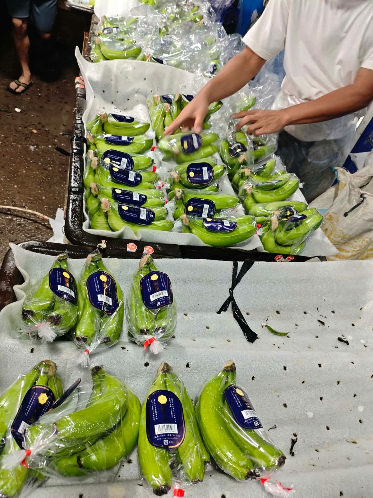 Cluster-packed Banexco bananas prepared for the Japanese market