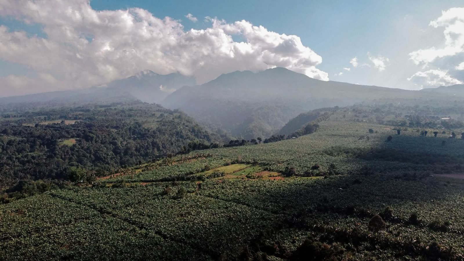 Aerial view of highland banana farms near Mt. Apo, Davao